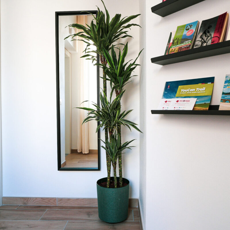 B&B_Ruote_Libere (2)