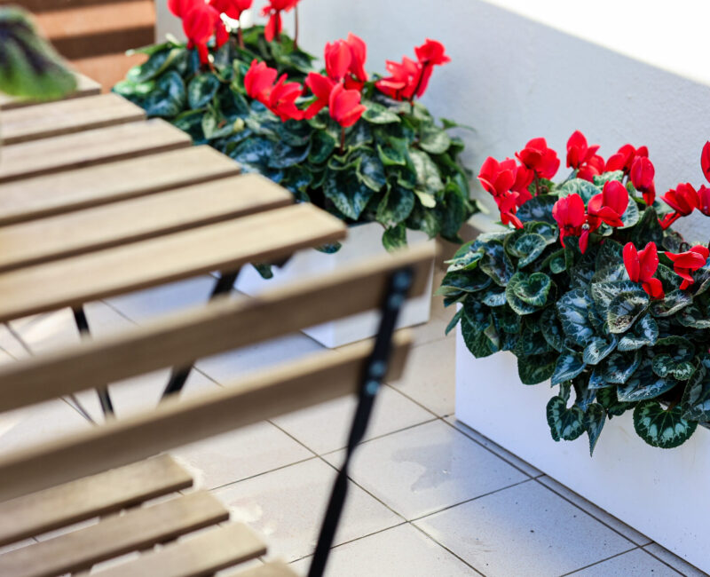 Terrazza_B&B_Ruote_Libere (2)
