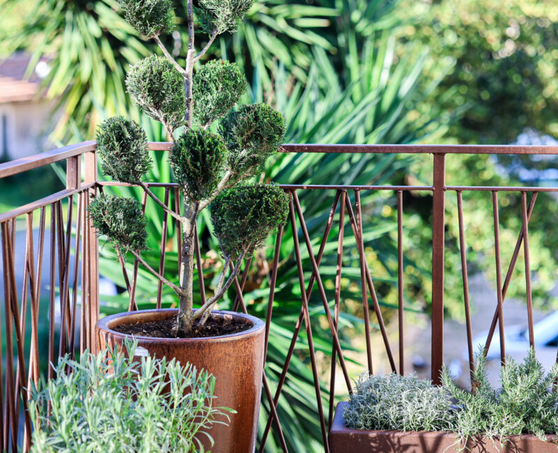 Terrazza_B&B_Ruote_Libere (6)